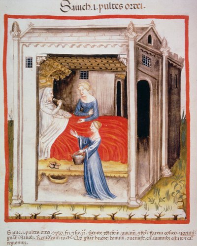 Nova 2644 fol.44v Tasting ohrakeitto, Tacuinum Sanitatis tekijältä Italian School
