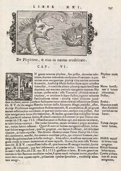 Sivu 735 teoksesta The History of the North, kirjoittanut Magnus Olaus, Rooma 1565 (painatus ja kaiverrus) tekijältä Italian School