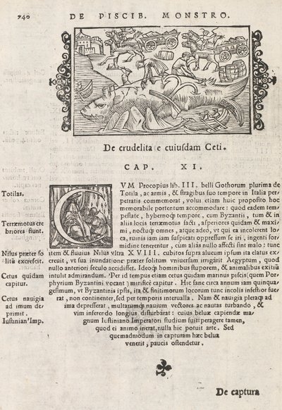 Sivu 740 teoksesta The History of the North, kirjoittanut Magnus Olaus, Rooma 1565 (painatus ja kaiverrus) tekijältä Italian School