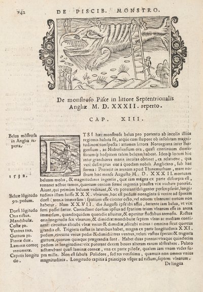 Sivu 742 Magnus Olausin teoksesta Northern Gentivus, Rooma 1565 (painatus ja kaiverrus) tekijältä Italian School