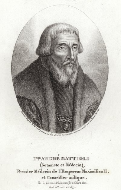 Pietro Andrea Mattioli tekijältä Italian School