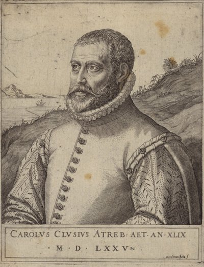 Carolus Clusiuksen muotokuva tekijältä Italian School