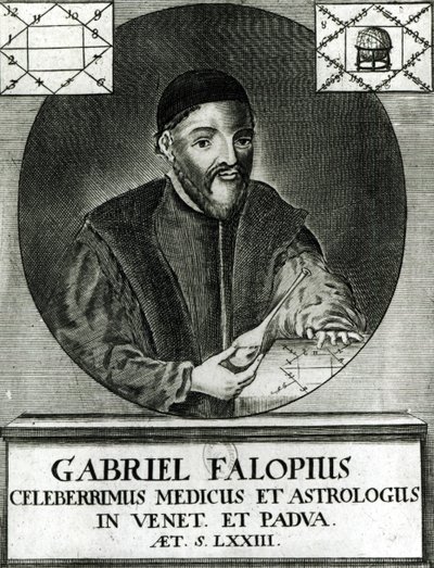 Muotokuva Gabriel Fallopiuksesta (1523-62) tekijältä Italian School