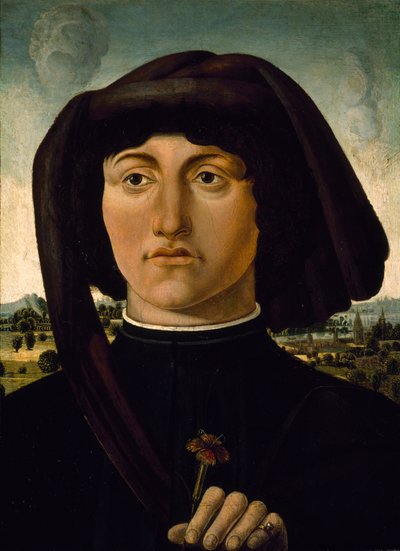 Muotokuva nuoresta miehestä, jolla on vaaleanpunainen kukka, n. 1475-85 (tempera puulla) tekijältä Italian School