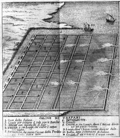 Salt marsh Trapanissa. kuvitettu taulu, joka on otettu "" Nykyisestä Sisilian osavaltiosta" - Arcangelo Leanti, Palermo 1761 tekijältä Italian School