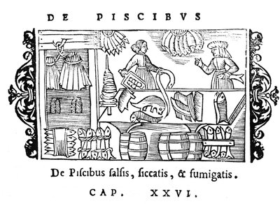 Kalan suolaus, kuivaus ja savustaminen, kuvitus Olaus Magnuksen (1490-1558) Historia de Gentibus Septentrionalibusista, julkaistu Roomassa, 1555 tekijältä Italian School