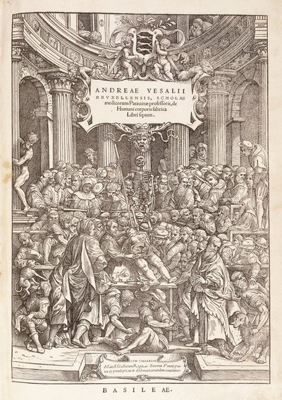 Kirjoittaja suorittaa anatomista dissektiota kirurgisessa teatterissa, 1543 tekijältä Italian School