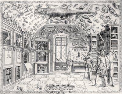 Ferrante Imperaton (1550-1631) pubin keisari Ferdinand III:n luonnontieteellinen museo Historia Naturalesta. vuonna 1672 tekijältä Italian School