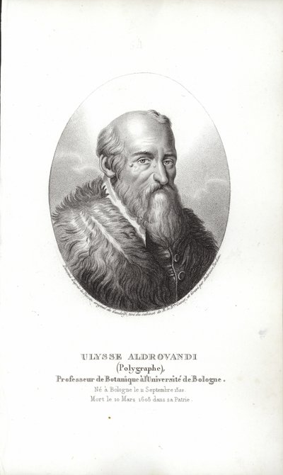 Ulisse Aldrovandi tekijältä Italian School