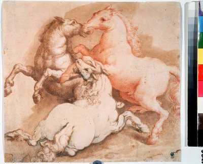 ""Hevostaistelu"" (Taisteluhevoset) Kynäpiirros, italialaisen koulukunnan muste. 1550-1600 Pushkin-museo, Moskova tekijältä Italian School