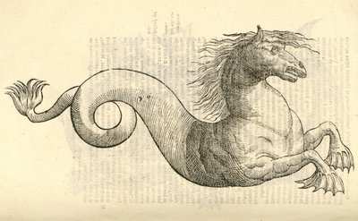 kuva Equus marinus monstrosuksesta Aldrovandis History of Monsters , 1642 tekijältä Italian School