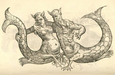 kuva Monstera Milaca Pareista Aldrovandus History of Monsters , 1642 tekijältä Italian School