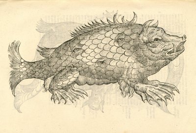 kuva Monstrosus Sur marinuksesta Aldrovandis History of Monsters , 1642 tekijältä Italian School