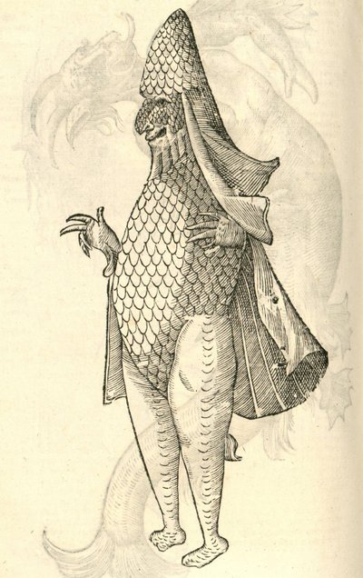 kuva Monstro Marinuksesta Aldrovandis History of Monsters -julkaisusta 1642 tekijältä Italian School