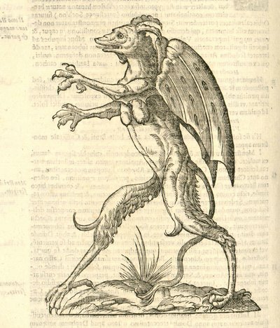 kuva siivekkäästä ja sarvikkaasta hirviöstä kuin demonista Aldrovandis History of Monsters , 1642 tekijältä Italian School