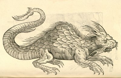 kuva Orobonis Piscis -hahmoista Aldrovandis History of Monsters , 1642 tekijältä Italian School