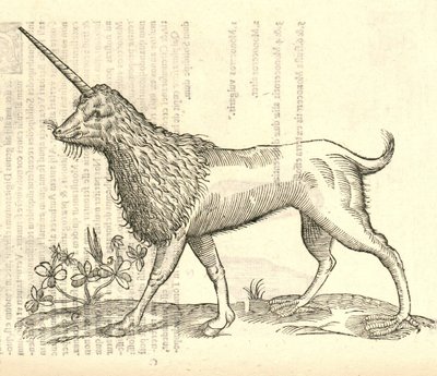 kuva Kampurchista Aldrovandus History of Monsters -julkaisusta, 1642 tekijältä Italian School