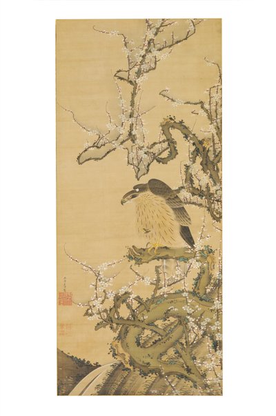 Umetaka-zu (Haukka kukkivan luumun oksalla) tekijältä Ito Jakuchu