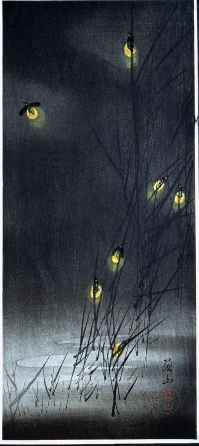 Tulikärpäsiä kesäyössä. 1930-1950 (Ksylografia ja japanilaispaino) tekijältä Ito Sozan
