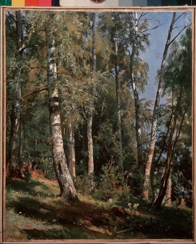 Koivulehto (Birch grove) - maalaus Ivan Ivanovich Shishkin (Shishkin) (1832-1898), öljy kankaalle tekijältä Ivan Ivanovich Shishkin