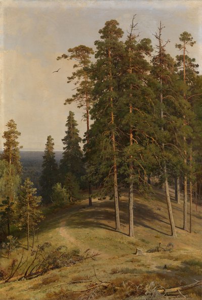 Mäntymetsä, 1895 tekijältä Ivan Ivanovich Shishkin