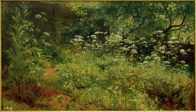 Giersch. Pargolowo tekijältä Ivan Ivanovich Shishkin