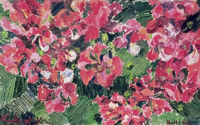 Rhododendron, 1962 tekijältä Izabella Godlewska de Aranda
