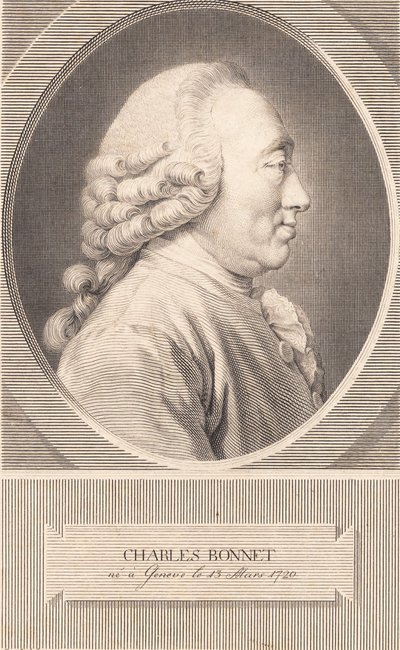 Charles Bonnet tekijältä J.F. Clemens