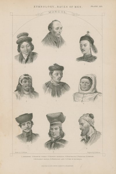 Yhdeksän kasvoa eri mongolirotuista tekijältä J.L. Williams