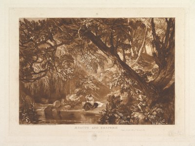Aesacus ja Hesperia, Video Ovid Metamorphoses, Kirja XI Liber Studiorum, osa X..., 1. tammikuuta 1819. tekijältä Joseph Mallord William Turner