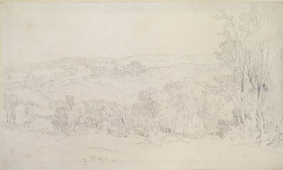 Kaukainen näkymä Lowtherin linnapuistoon, 1809 tekijältä Joseph Mallord William Turner