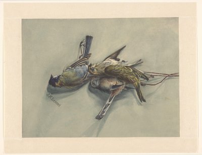 Asetelma kolmella kuolleella linnulla tekijältä J.N. Landré (signed by artist)