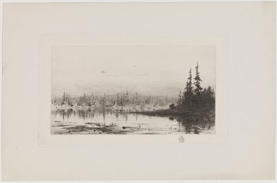 Järvi tekijältä J.P. Wildenrath