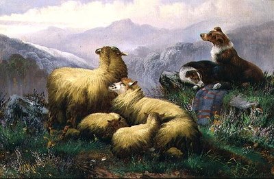 Lammaskoirat ja lampaat Skotlannin ylämailla tekijältä J.W. Morris