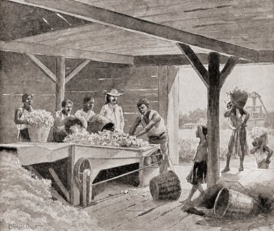 Orjat, jotka työskentelevät 1800-luvun puuvillaginin kanssa istutuslaitoksella Yhdysvaltojen eteläosissa, kirjasta The History of Our Country, julkaistu 1905 (litho) tekijältä J. (after) Steeple Davis