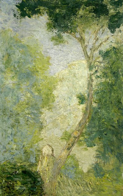 (Maisema) tekijältä J. Alden Weir