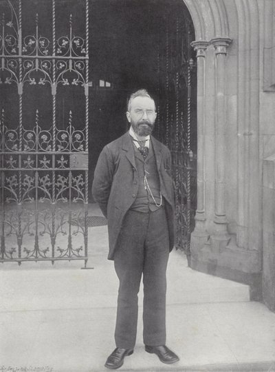 Herra T. M. Healy tekijältä J. Benjamin Stone