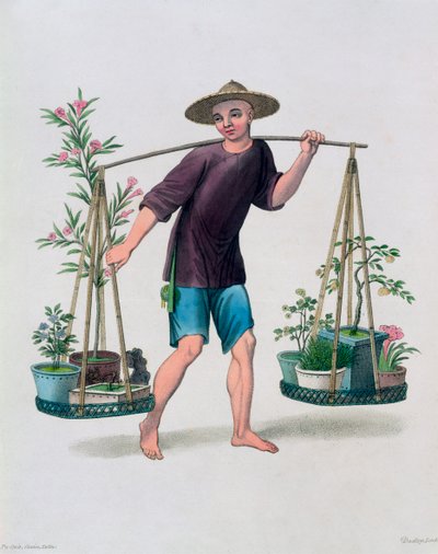 "Porteri hedelmäpuiden ja kukkien kanssa", Kiina, 1800 tekijältä J Dadley