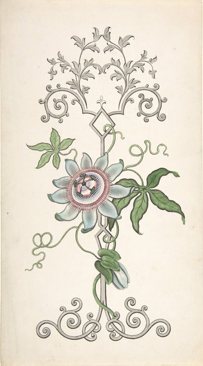 Suunnittelu paneelikoristeelle, jonka keskipiste on intohimokukka, 1828-40. tekijältä J Hulme