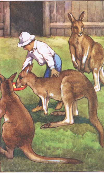 Australialainen poika, MacMillanin koulujulisteista, n. 1950-60-luvut (värilitho) tekijältä J. Macfarlane