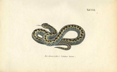 Yleinen eurooppalainen lisäkerroin tekijältä J. W. Tenhaeff