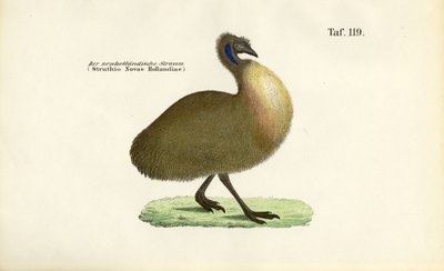  tekijältä J. W. Tenhaeff
