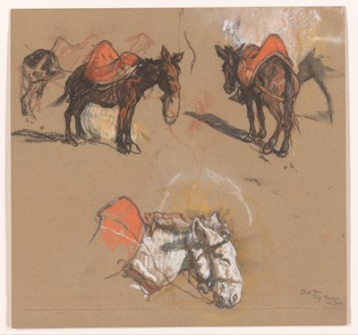 Tutkimuksia aaseista ja muulista Grote Marktilla Tangerissa tekijältä Jac van Looij (signed by artist)