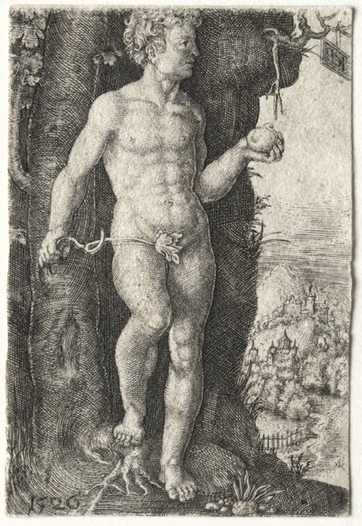 Adam, 1526. tekijältä Jacob Binck