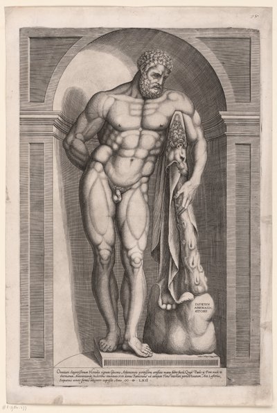 Hercules Farnese tekijältä Jacob Bos