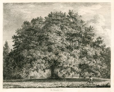 Chandos Oak, Michendon House, Southgate, Lontoo tekijältä Jacob George Strutt