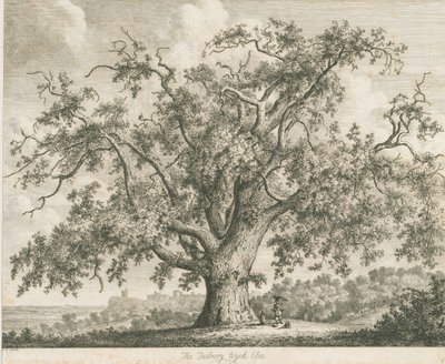 Tutbury - "Wych Elm": etsaus, nd [c 1820] tekijältä Jacob George Strutt