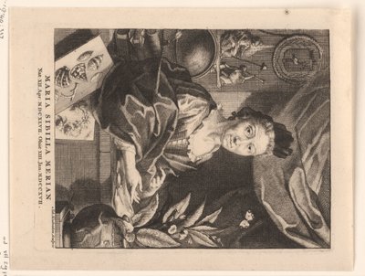 Muotokuva Maria Sibylla Merian Maria Sibylla Merian (otsikko esineessä) tekijältä Jacob Houbraken