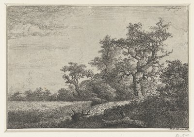Maissipelto tekijältä Jacob van Ruisdael