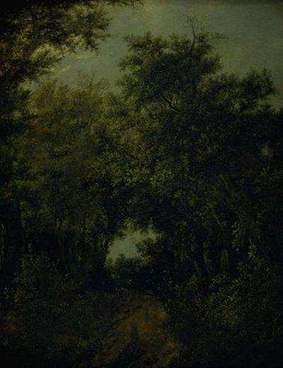Tie tammimetsässä tekijältä Jacob van Ruisdael
